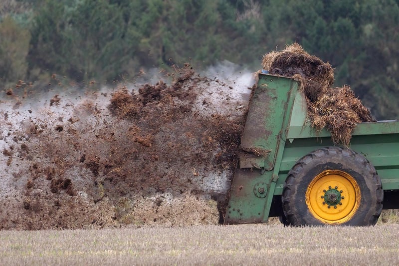 Organic Fertilizers